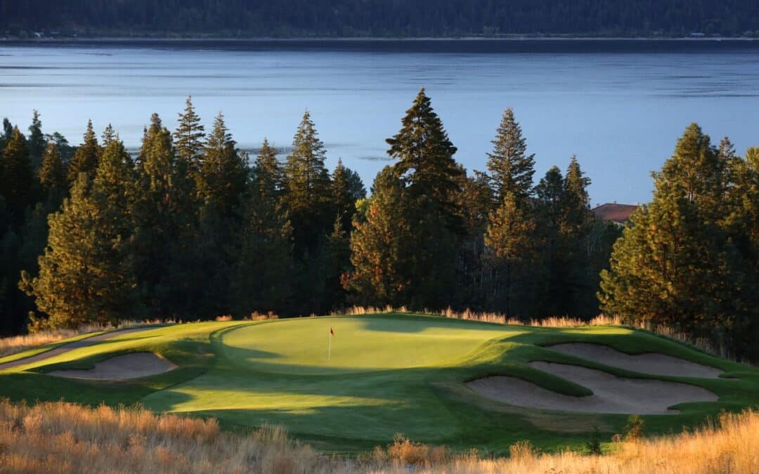 3talkingrock15greencloseup-medium-1080x675