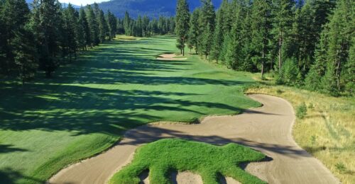 talkingrock7dronewithbunkerbear-medium (1)